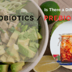 Prebiotics : 9 Foods For the Good Gut Microbes